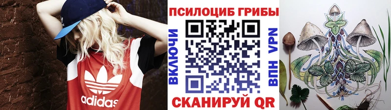 Галлюциногенные грибы мицелий  купить наркоту  Киржач 