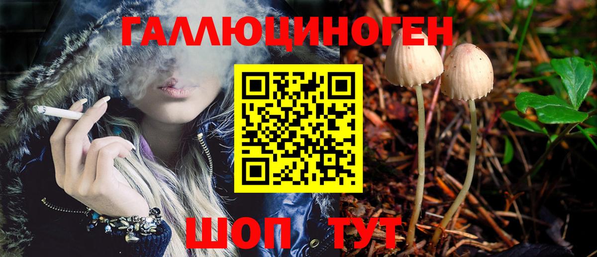 Киржач  как найти закладки  Вход с VPN  Псилоцибиновые грибы GOLDEN TEACHER 