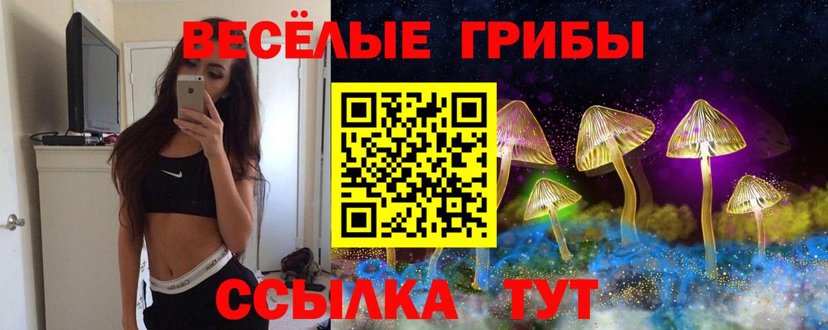 Псилоцибиновые грибы прущие грибы Киржач