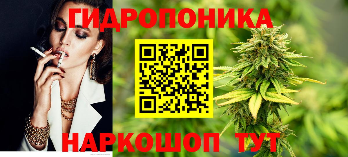 Конопля OG Kush  Киржач  Бошки марихуана OG Kush 